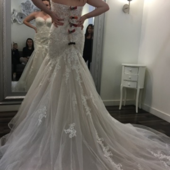 Stella York Wedding Dress - Picture 6 of 6